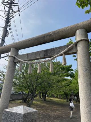 吾妻神社の参拝記録(⛩️🐍🐢まめ🐢🐍⛩️さん)