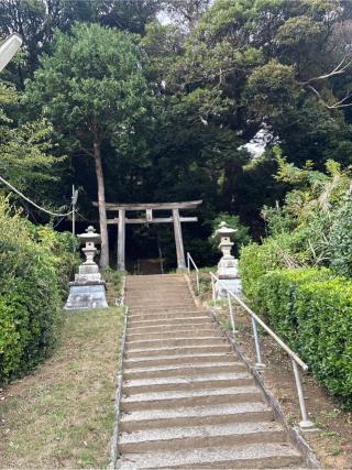 水神社の参拝記録(ねこチャリさん)