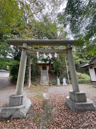 八幡神社の参拝記録(ねこチャリさん)