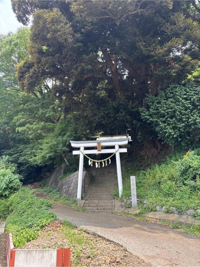 日枝神社の参拝記録1