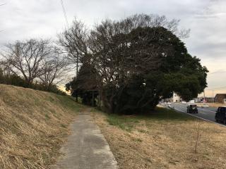 日枝神社の参拝記録(明介さん)