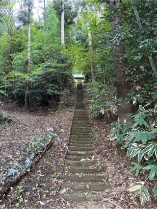 諏訪神社の参拝記録(ねこチャリさん)
