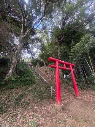 皇産靈神社の参拝記録(ねこチャリさん)