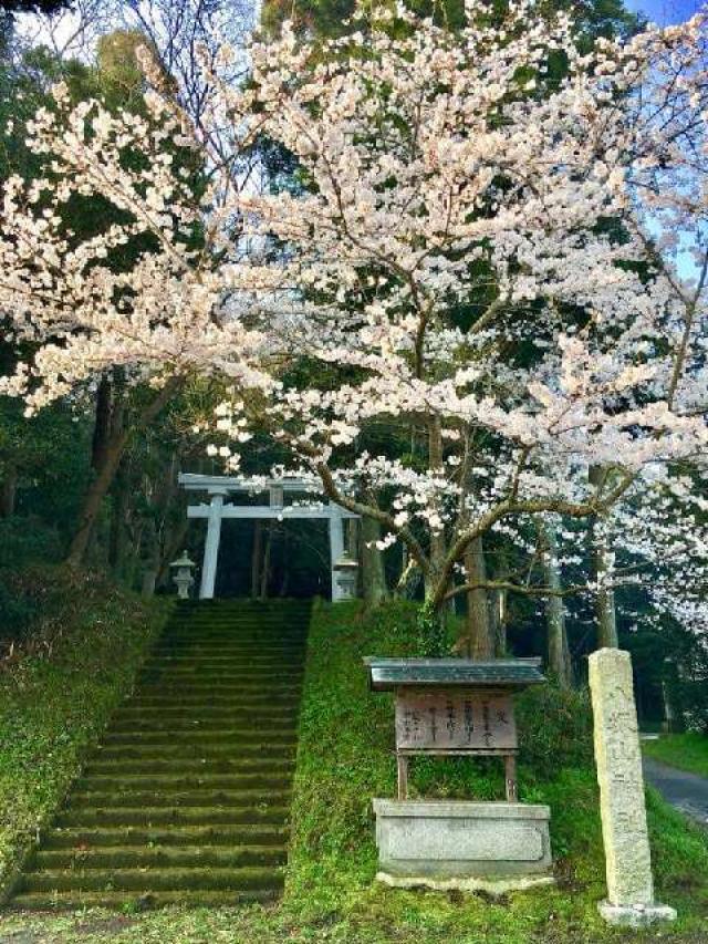 千葉県館山市安布里634番地 八坂山神社の写真1