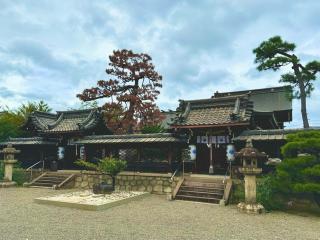 若宮八幡神社の参拝記録(qo_opさん)