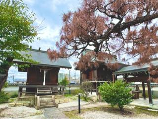 若宮八幡神社の参拝記録(qo_opさん)