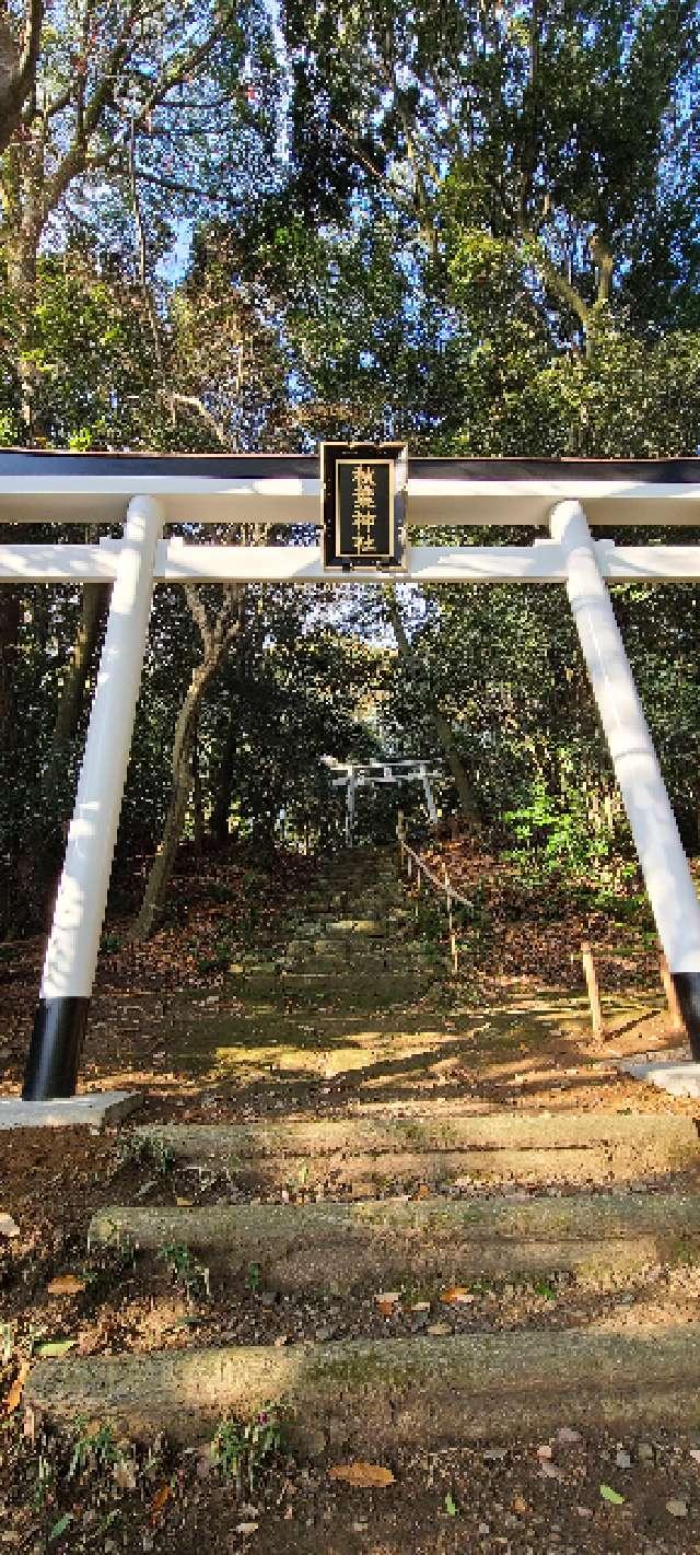 秋葉神社の参拝記録4