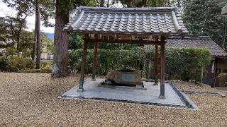 新宮神社（石山寺新宮神社）の参拝記録(ヒカルさん)
