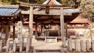 春日神社の参拝記録(すったもんださん)