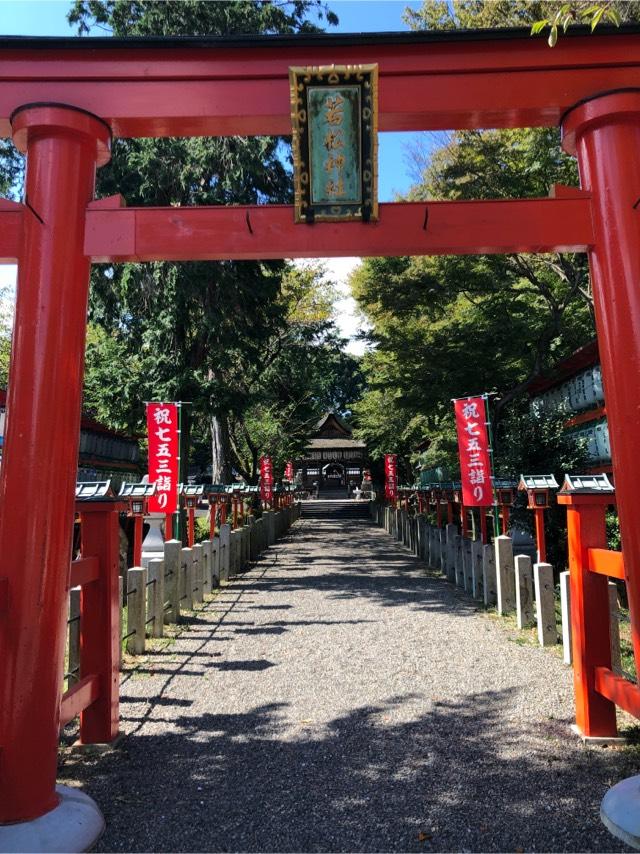 若松神社の参拝記録4