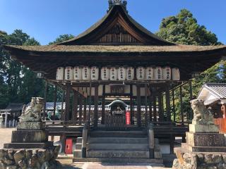 若松神社の参拝記録(ちもさん)