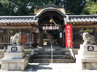 若松神社の参拝記録(ちもさん)