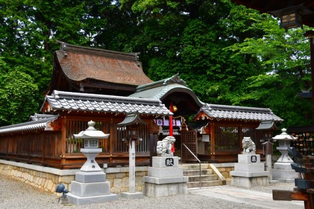 滋賀県大津市大江2-9-1 若松神社の写真2