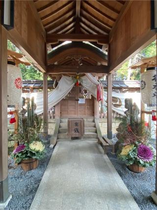 八坂神社の参拝記録(さくらさん)