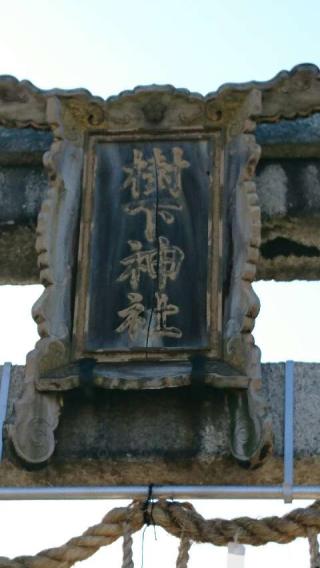 樹下神社の参拝記録(ノリさん)