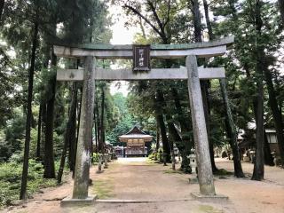 樹下神社の参拝記録(じゃすてぃさん)
