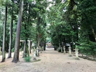 天満神社の参拝記録(じゃすてぃさん)