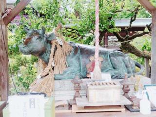 北野神社の参拝記録(miyumikoさん)