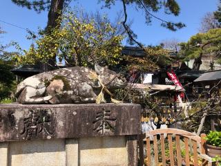 北野神社の参拝記録(礼さん)