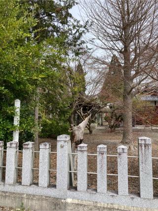 春日神社の参拝記録(すし吉さん)