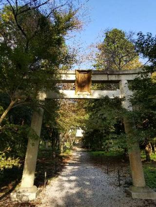 井伊神社の参拝記録(あつしさん)