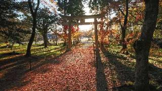 井伊神社の参拝記録(nefertiti0711さん)