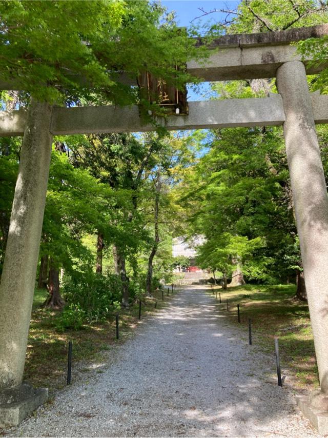 井伊神社の参拝記録2