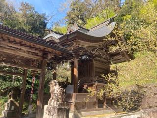 新神社の参拝記録(田中さん)