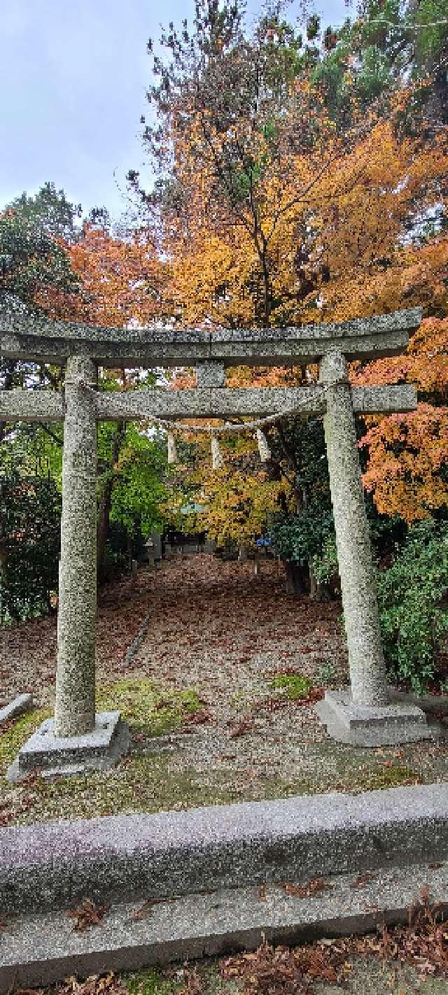 春日神社の参拝記録1