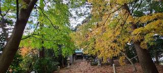春日神社の参拝記録(ちもさん)