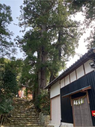 三社神社の参拝記録(yj さん)