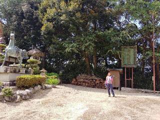 唐崎神社の参拝記録(みちこさん)