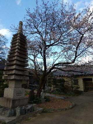 祥平山源昌院の参拝記録(zx14rさん)