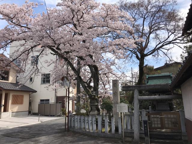 日吉神社の参拝記録5