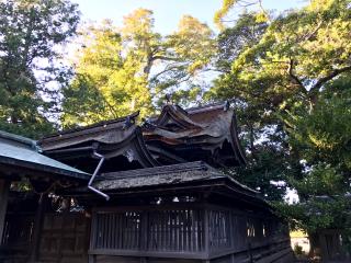 上坂神社の参拝記録(じゃすてぃさん)