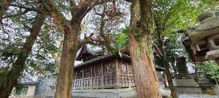 八幡神社の参拝記録(ちもさん)