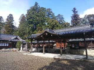 大嶋奥津嶋神社の参拝記録(みどりさん)