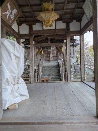奥津嶋神社の参拝記録(まさきさん)