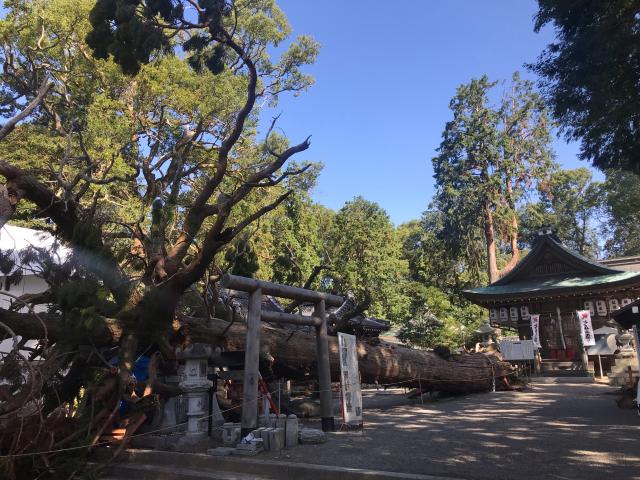 賀茂神社の参拝記録1