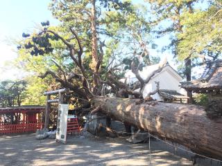 賀茂神社の参拝記録(じゃすてぃさん)