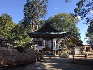 賀茂神社の参拝記録(じゃすてぃさん)