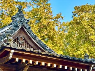 賀茂神社の参拝記録(qo_opさん)