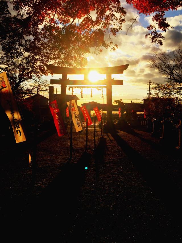 滋賀県近江八幡市加茂町1691 賀茂神社の写真1