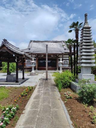 花見山正福寺大光院の参拝記録(zx14rさん)