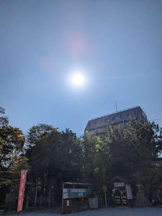 小汐井神社の参拝記録(かっつんさん)