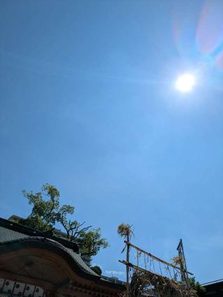 小汐井神社の参拝記録(かっつんさん)