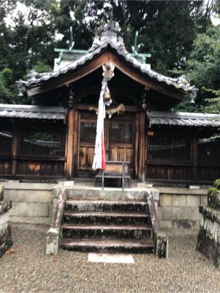 大宮若松神社の参拝記録(ちもさん)