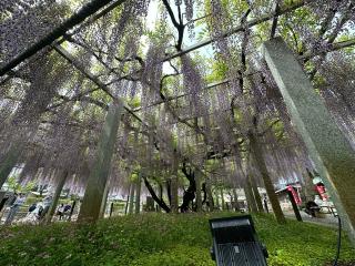 三大神社の参拝記録(あきちゃんさん)