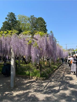 三大神社の参拝記録(ヒデさん)