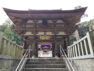 大野神社の参拝記録(銀玉鉄砲さん)
